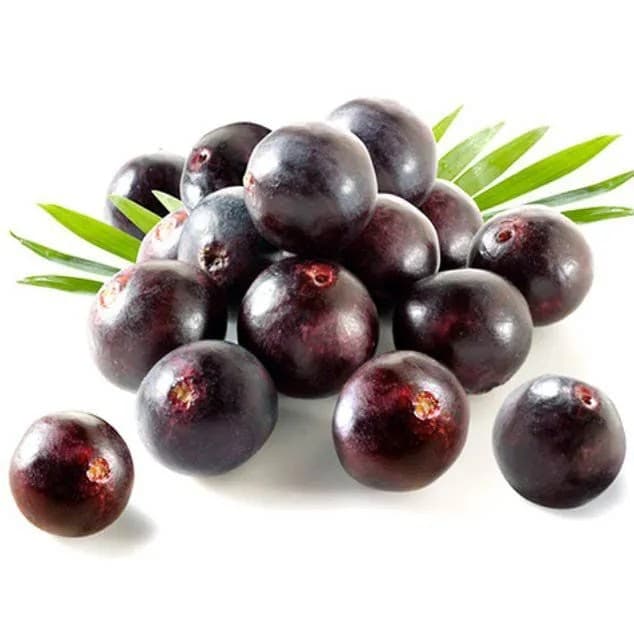 Açai solteiro (Euterpe precatoria) - Imagem 1